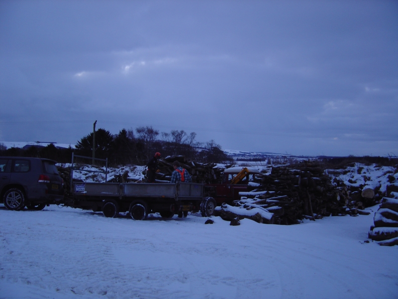 9th January 2010 025